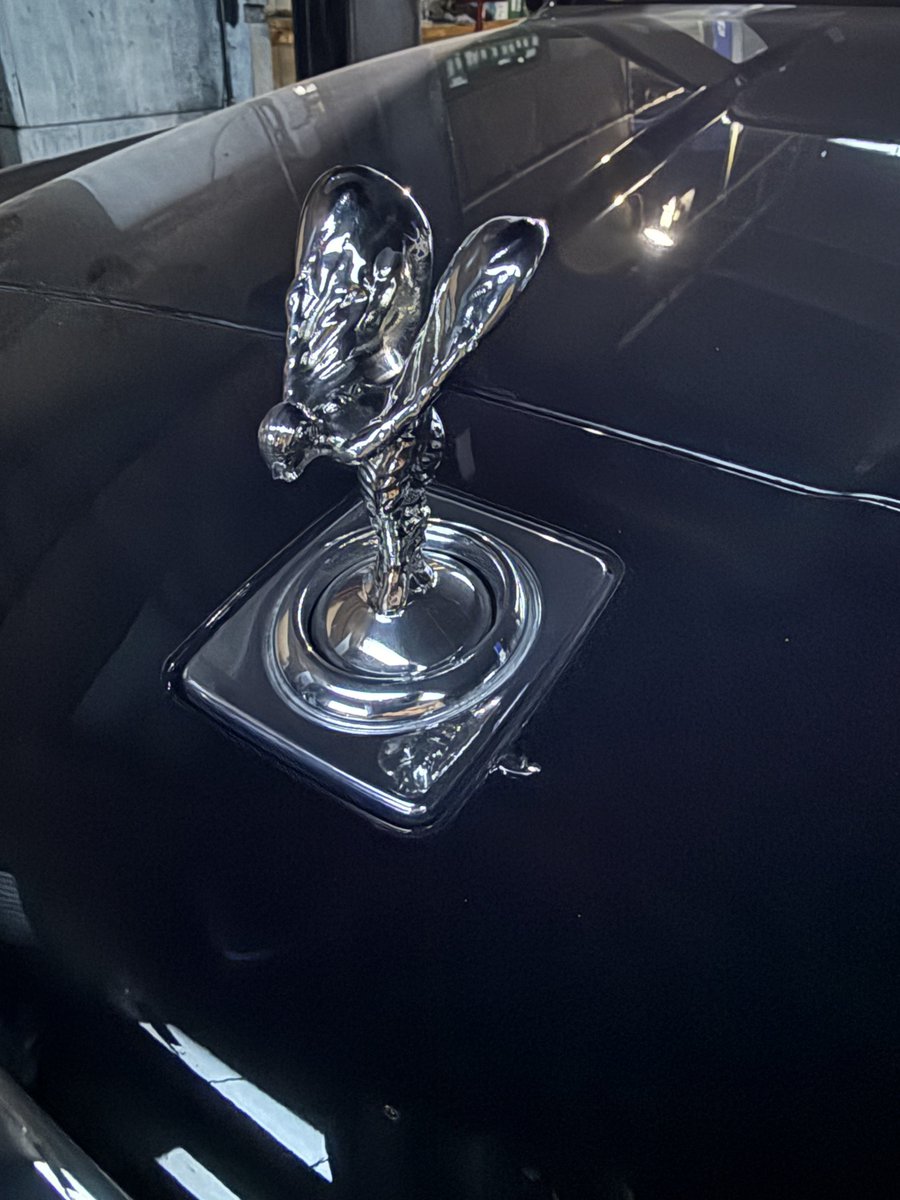 ぱらきんa.k.a買収 tweet media