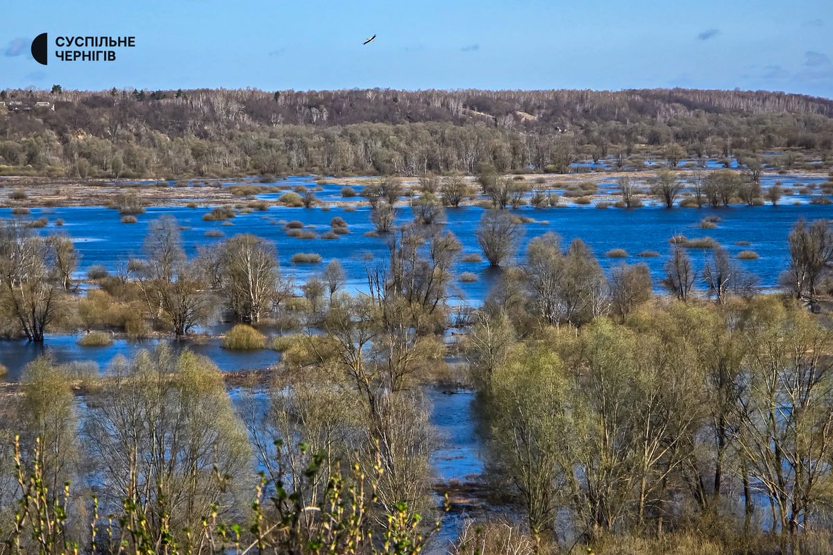 Ania_In_UA tweet media