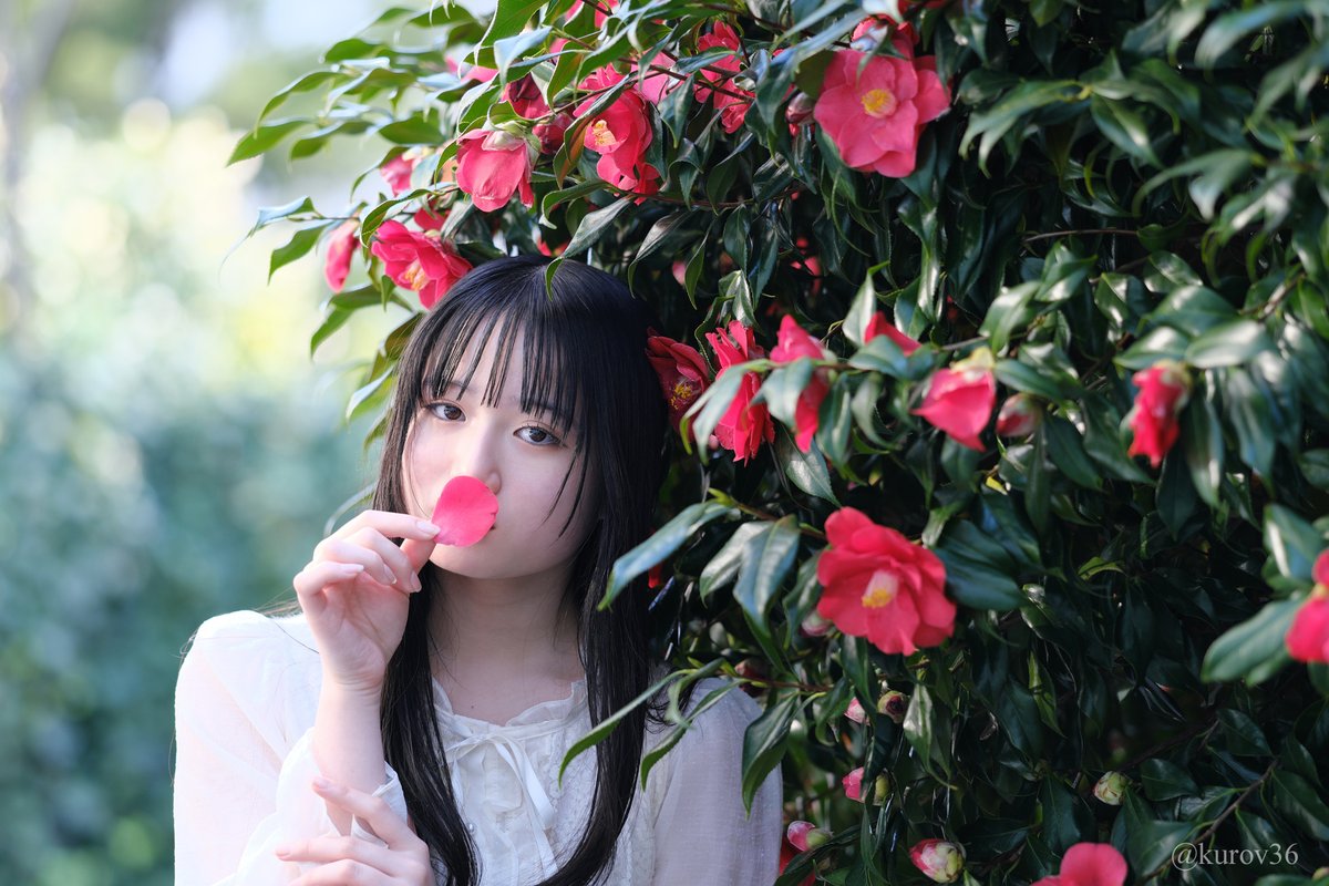 くろ@kurov36 tweet media