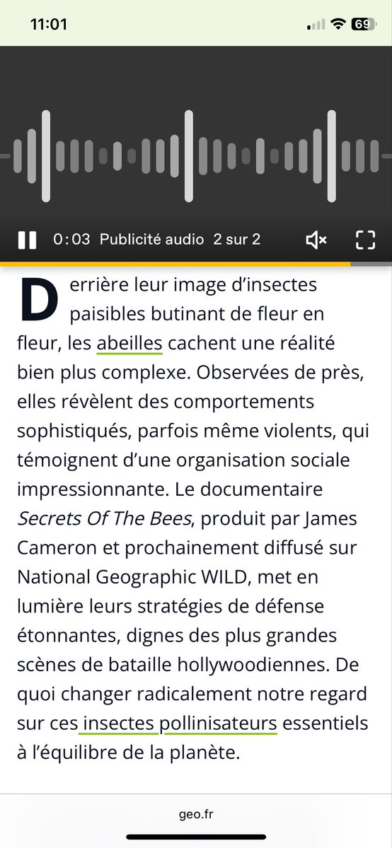 Hocine Mirech tweet media