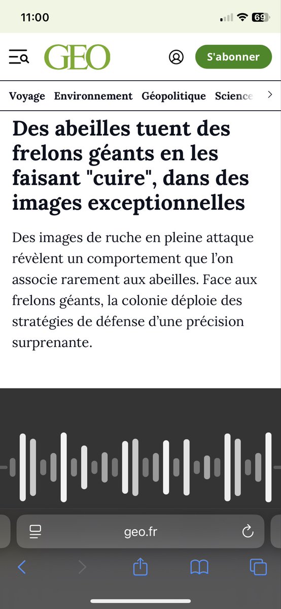 Hocine Mirech tweet media