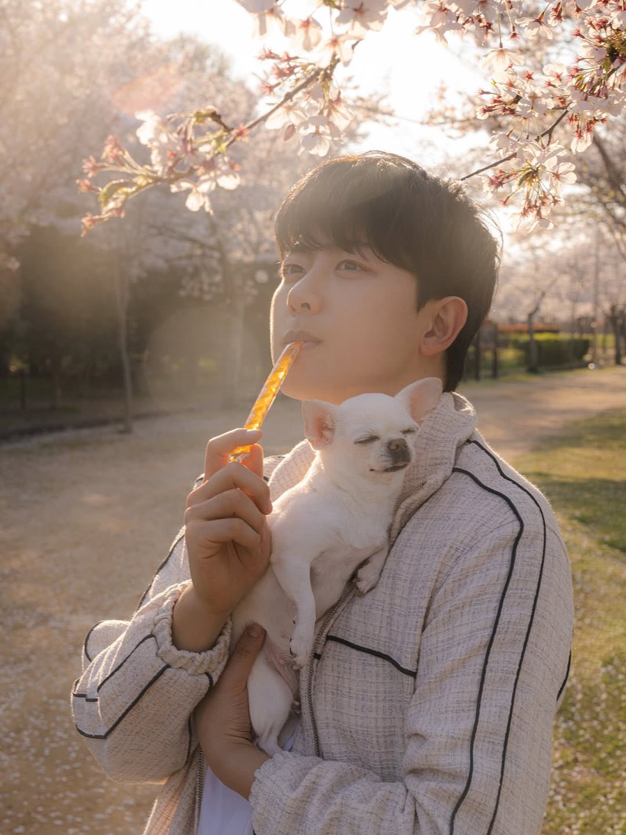 jibeomsfeed's tweet photo. [JIBEOM RELATED IG UPDATE]

💌 : @/markethatdam

#골든차일드 #GoldenChild 
#KimJibeom #김지범 https://t.co/il8rWZz62J
