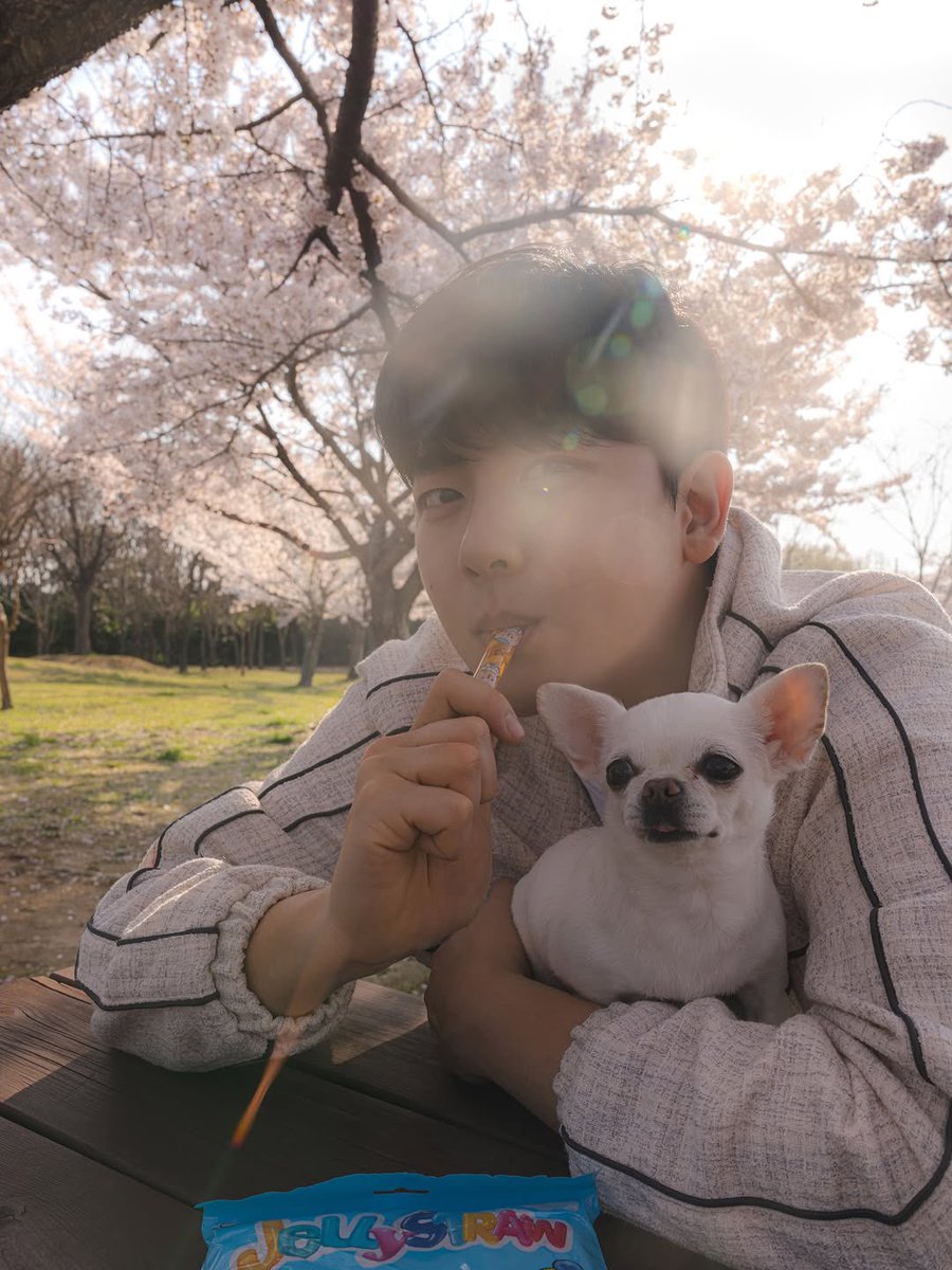 [JIBEOM RELATED IG UPDATE]

💌 : @/markethatdam

#골든차일드 #GoldenChild 
#KimJibeom #김지범