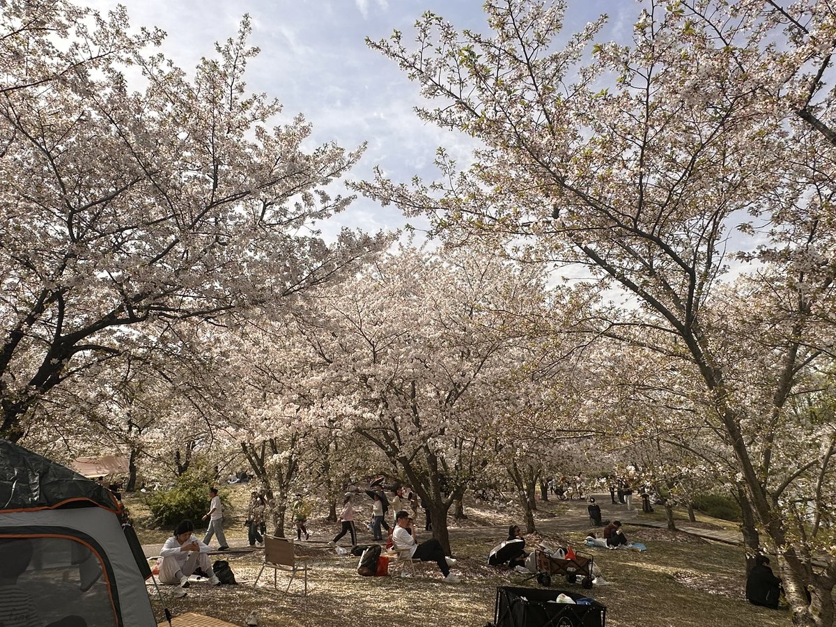 SpannerG tweet media