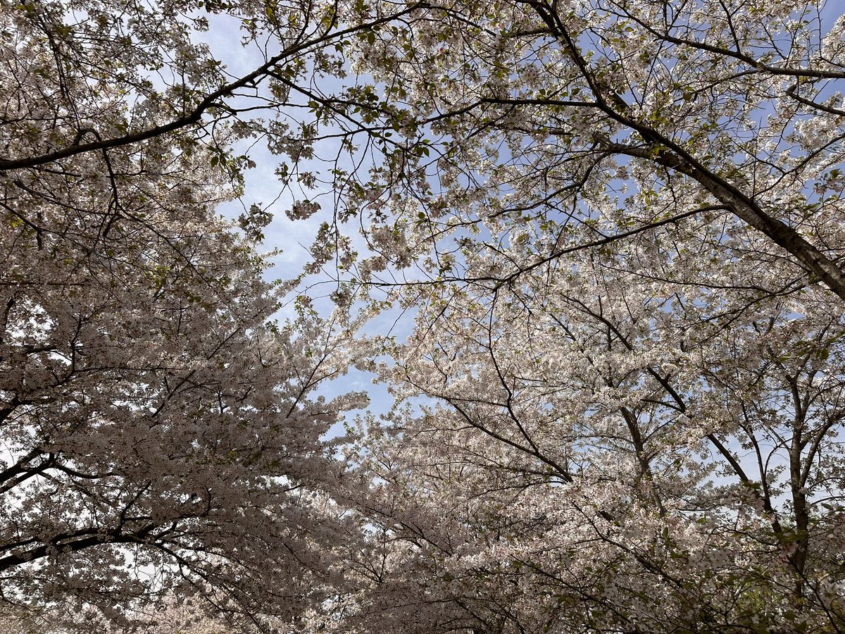 SpannerG tweet media