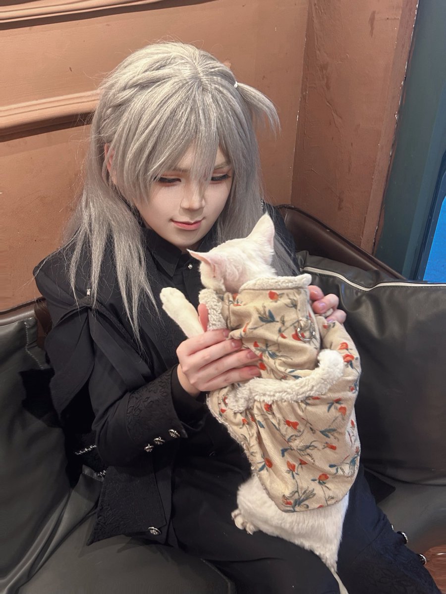 Noctis tweet media
