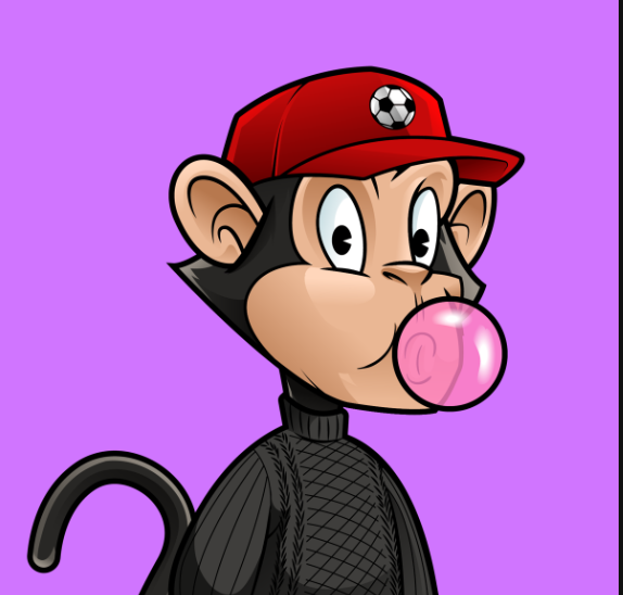 Bitcoin Monkeys tweet media