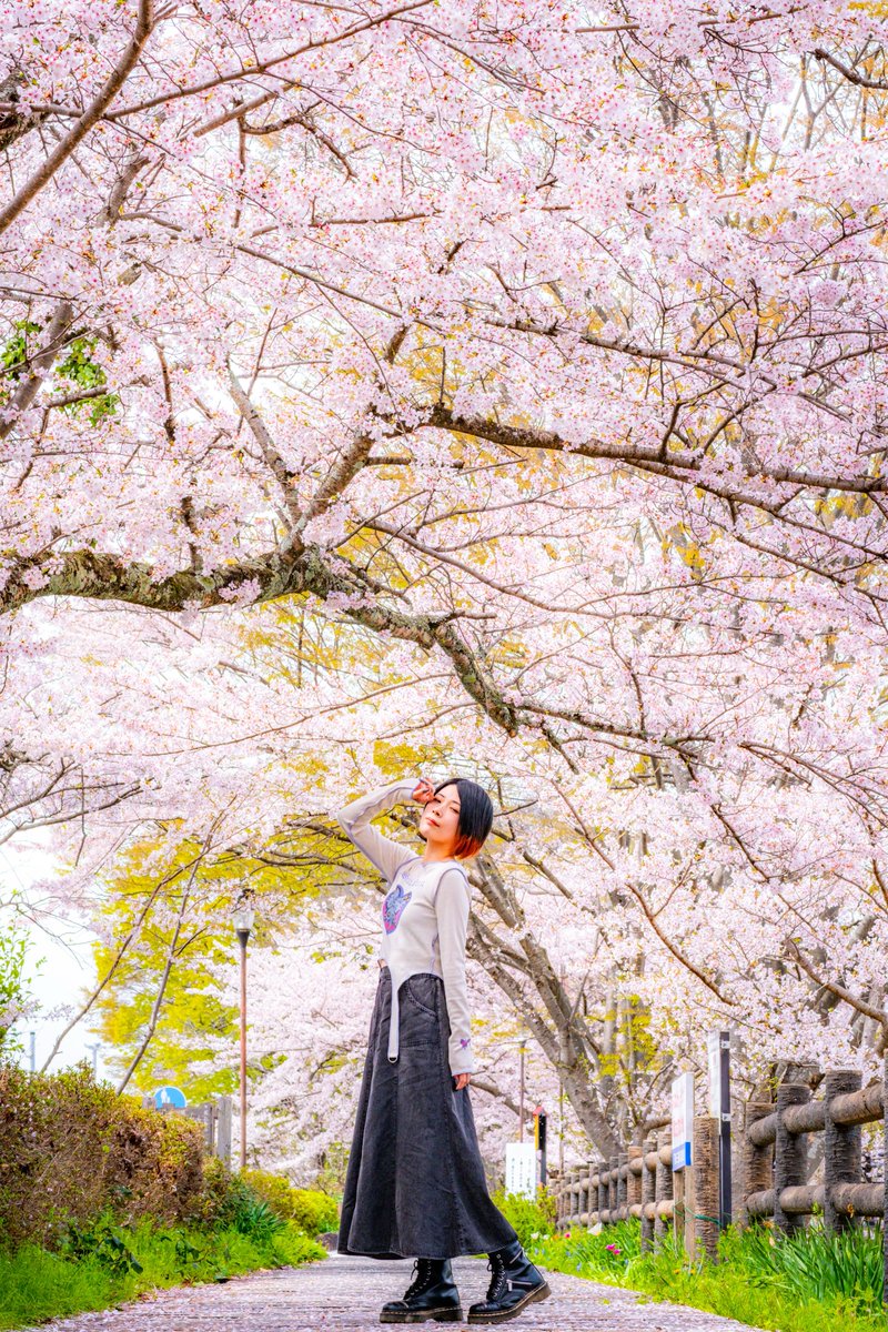 夛幸꜀^. ̫.^꜆ tweet media