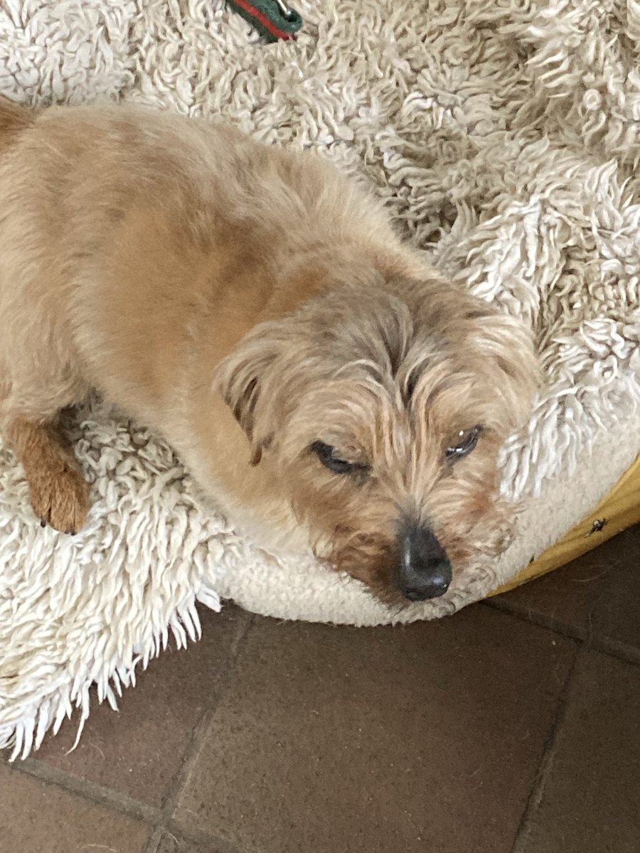 Fullertons BookSearch tweet media