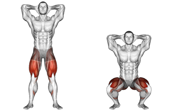 Zib Atkins tweet media