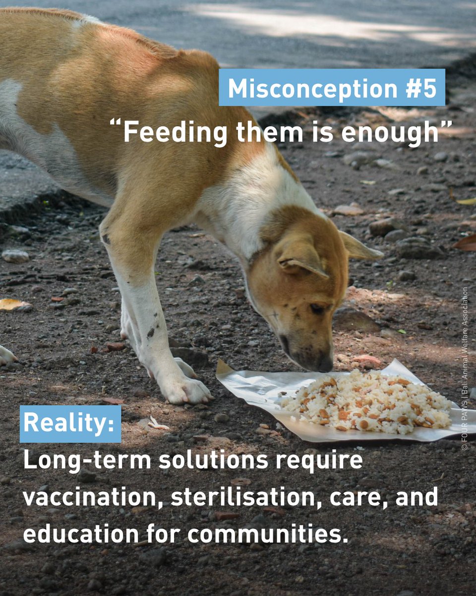 FOUR PAWS International tweet media