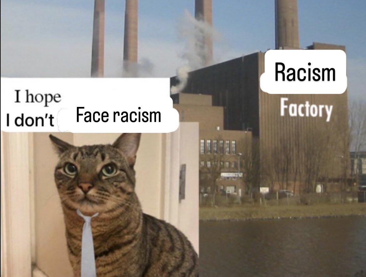 Hijo del Souk ⵣ tweet media