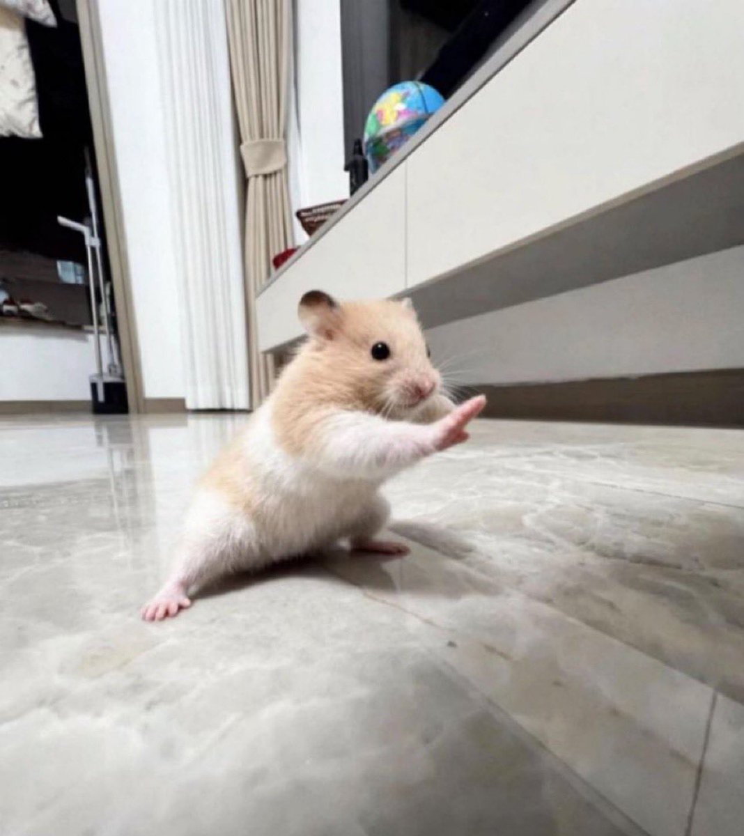 半野菜(SUB ACCOUNT) tweet media