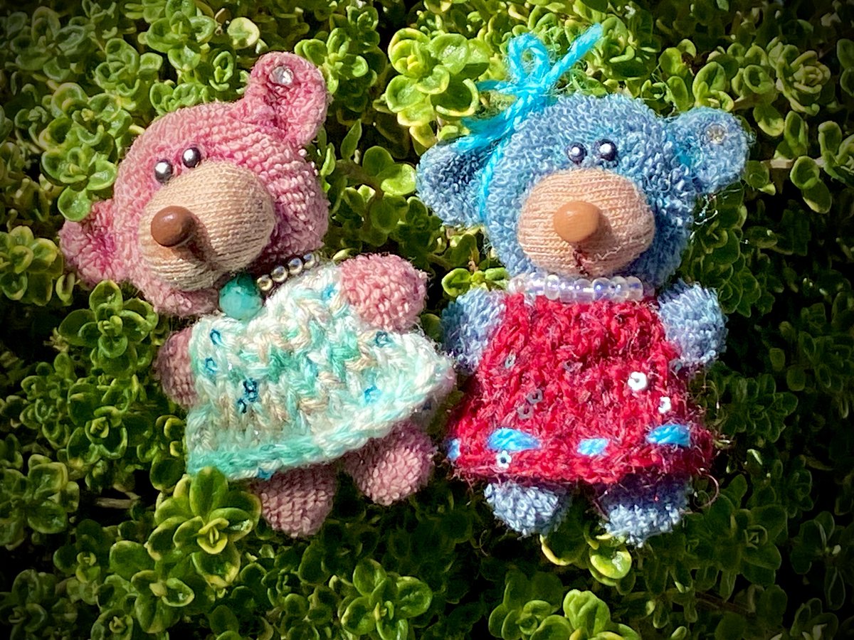 Meerhund 🌊🐶⚓️ tweet media