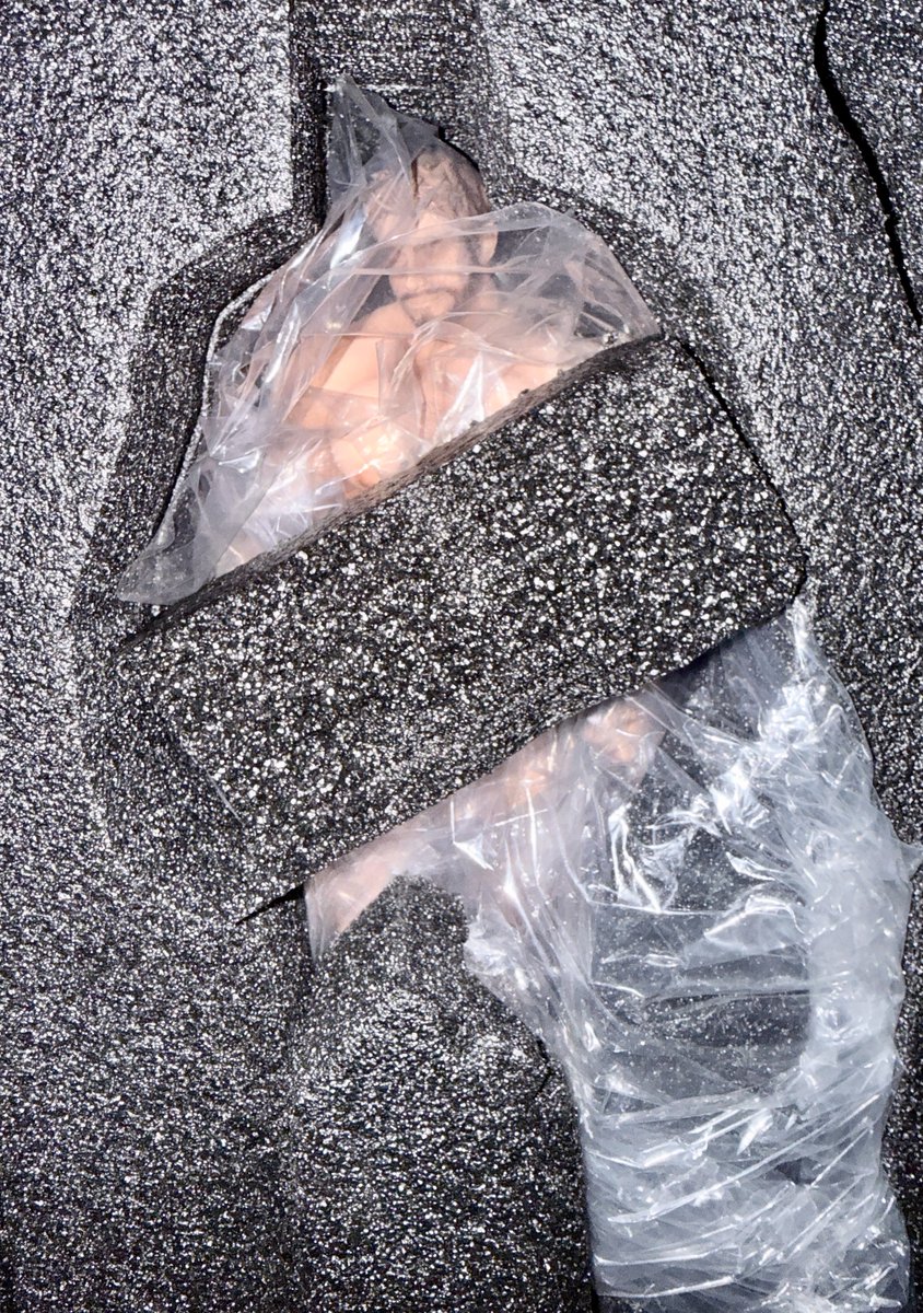 YJStudios tweet media