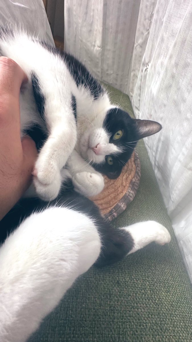 Tomoya 二人目のジャイアン🎷 tweet media