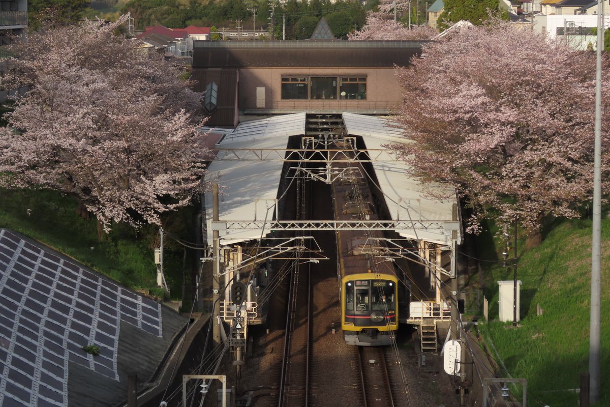 翡翠 いろは tweet media