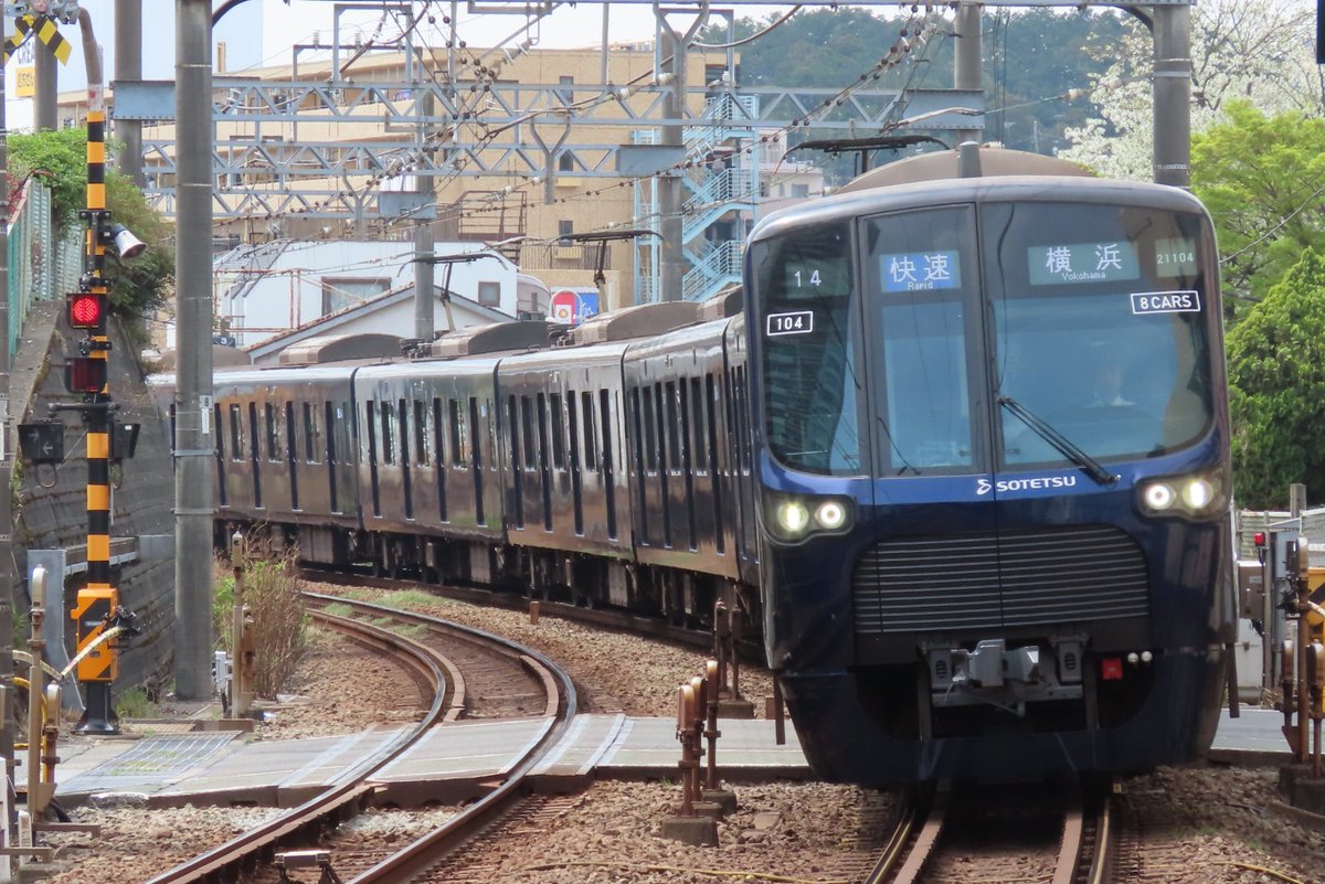 翡翠 いろは tweet media