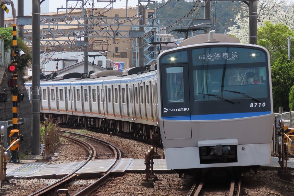 翡翠 いろは tweet media