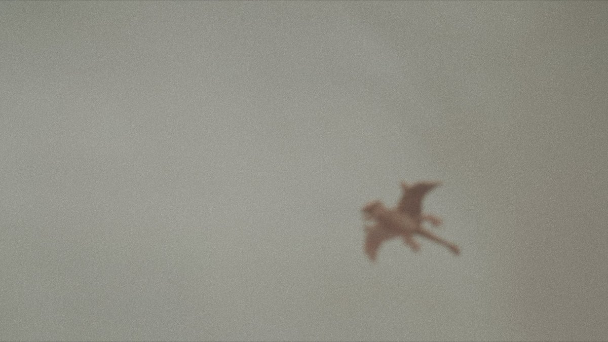 宇治茶（UJICHA） tweet media