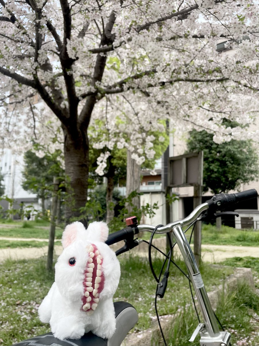 夢見るギロチン tweet media