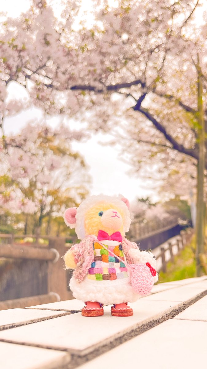 こっとん🧵 tweet media