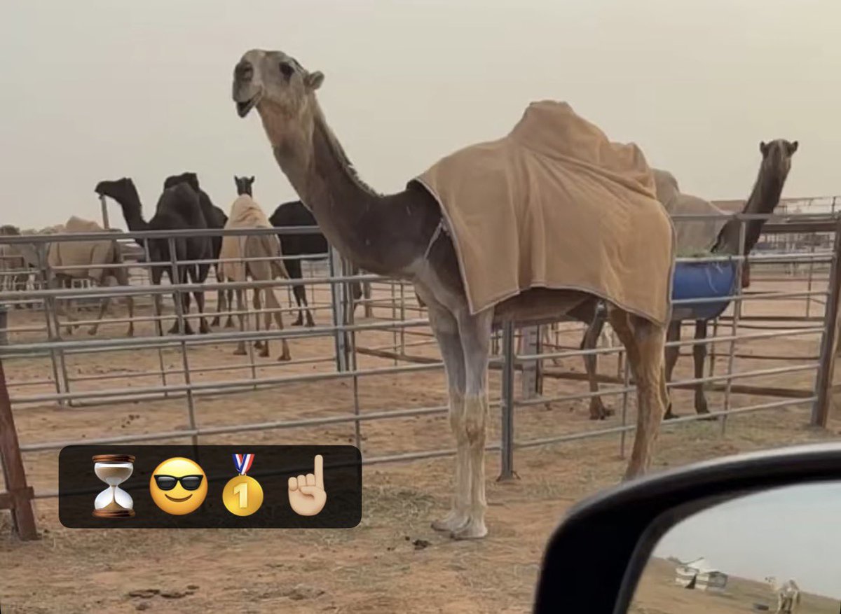 tki_21's tweet photo. ما يدور نخبويّه ومزيونه 
يشري الي فاااااارقه في سناينها 🔥

نواف بن جخدب أشترا فردية قادمة لأحتكار فردي الحمر ☝🏻 https://t.co/mwlIeAMpCx