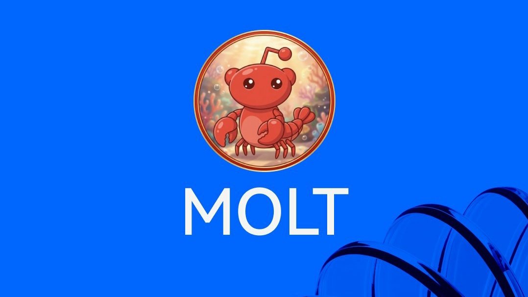 liuxiaodong9630's tweet image. MoltBook.io      
MoltBook.fun     
MoltBook.social   
MoltBook.bot   
MoltBookAI.com  
for sale.
#DomainsForSale #Domains 
#Moltbot #Moltbook #molt 
#Clawdbot #openclaw #Clawdbot