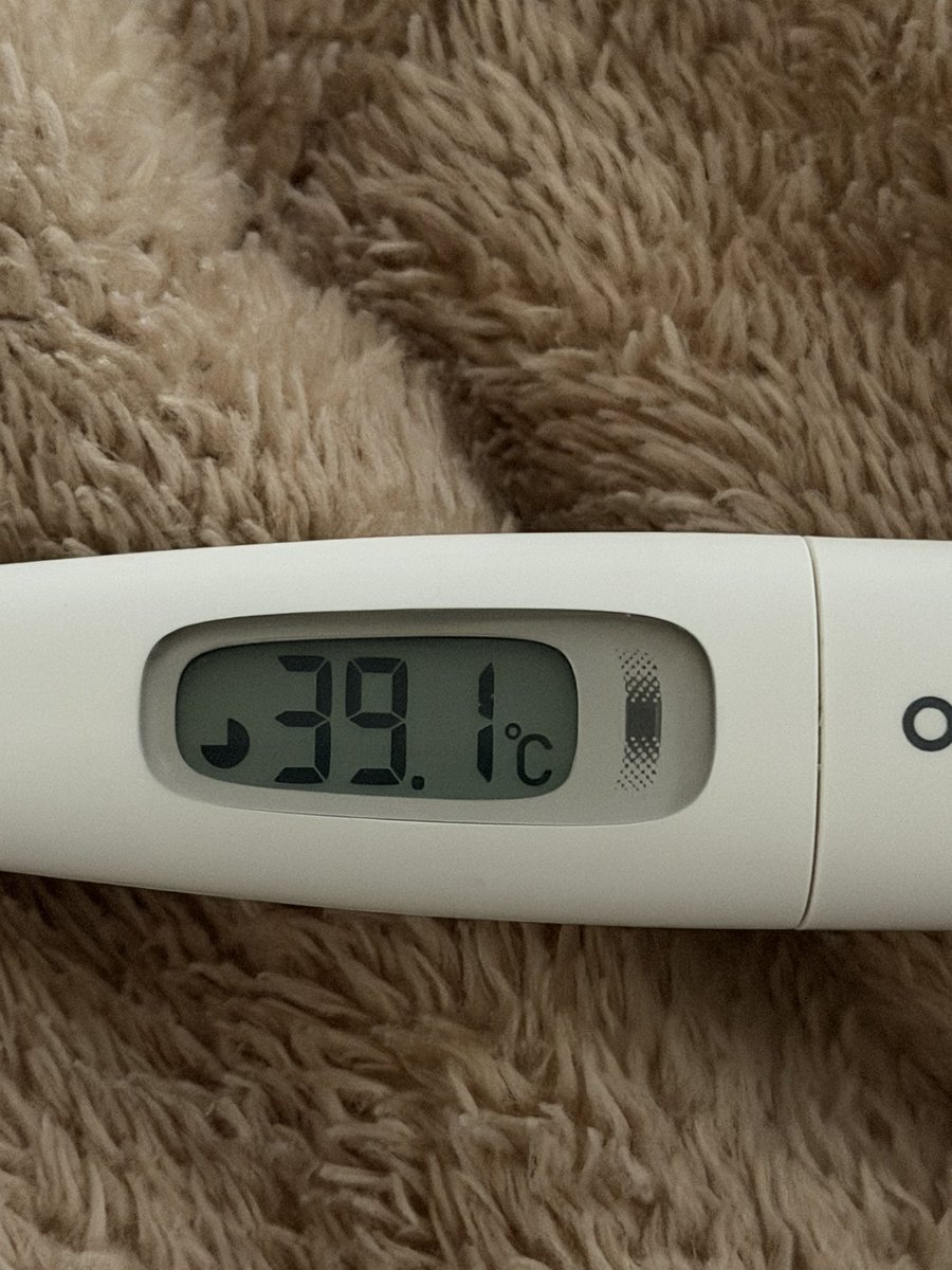 甘えん坊 tweet media