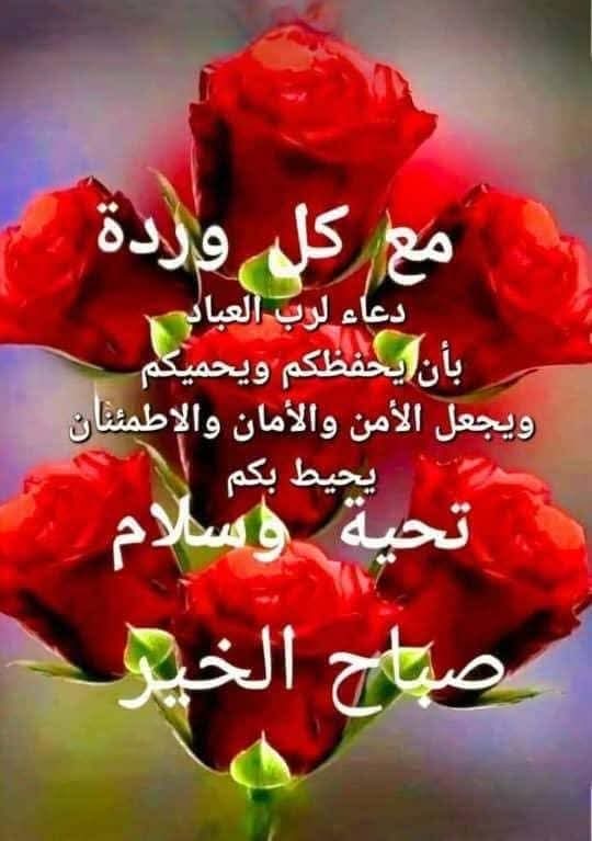 أبو عبودي tweet media