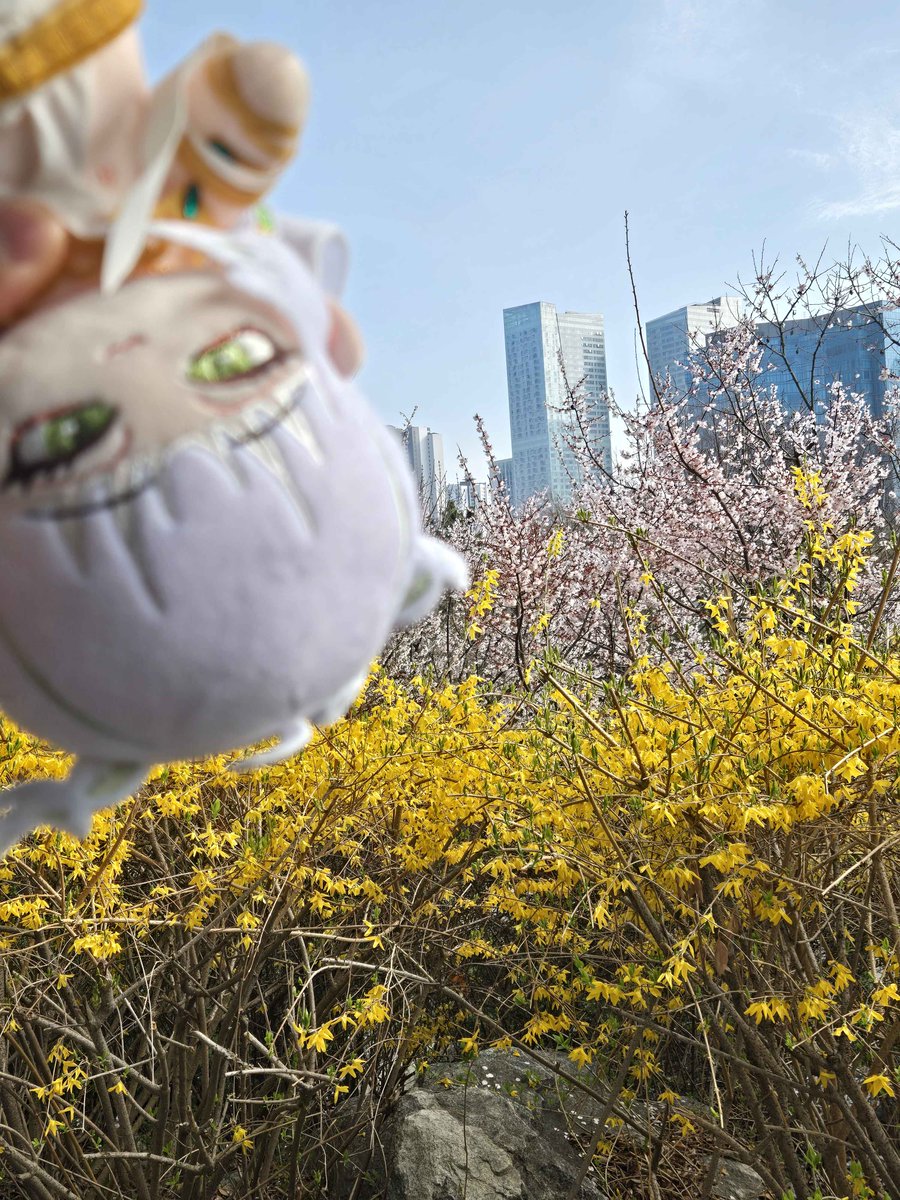 김준원🐍✨ tweet media