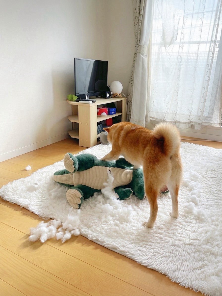 妙に静かだと思ったら反撃に出てて泣く