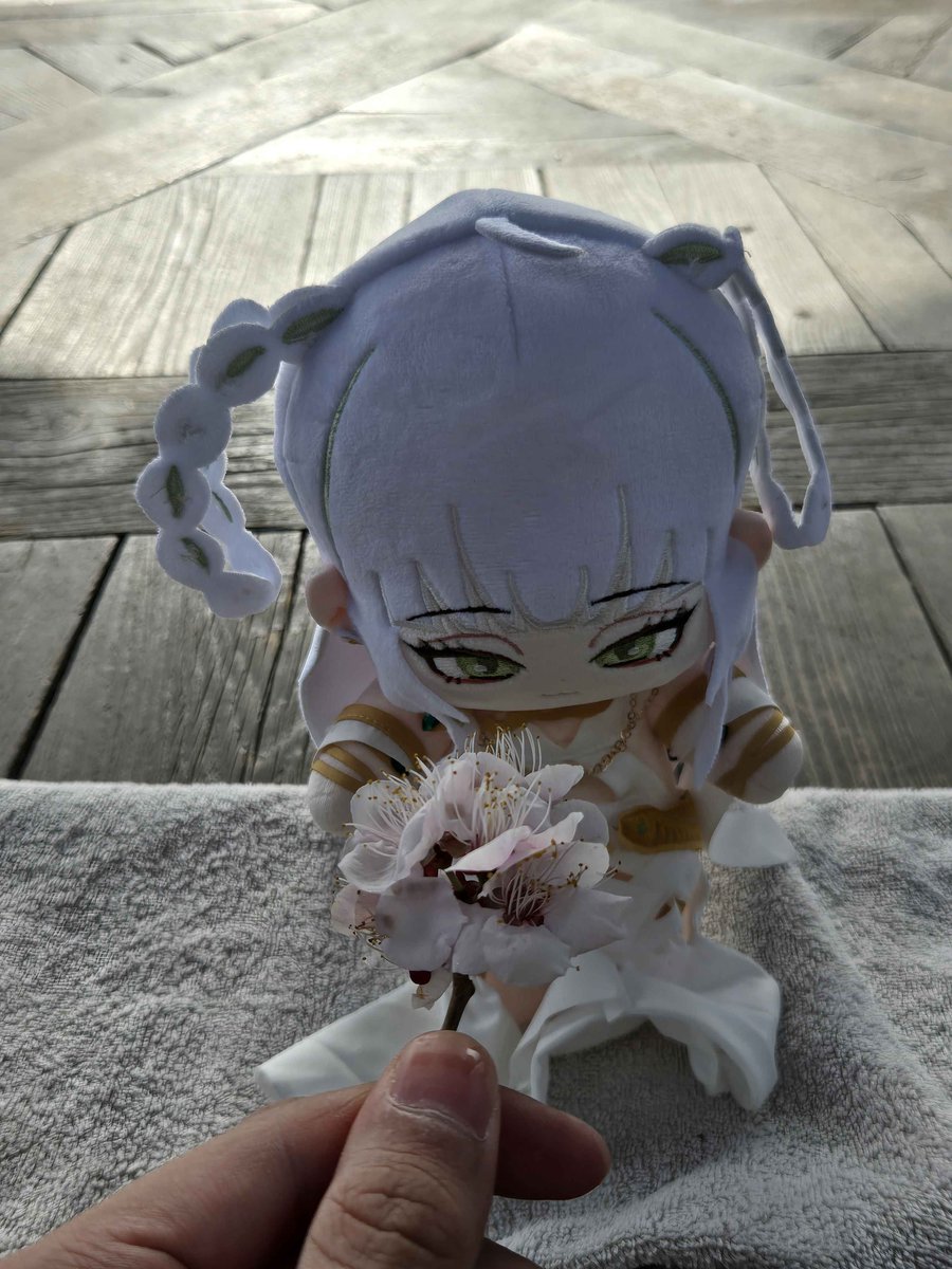 김준원🐍✨ tweet media