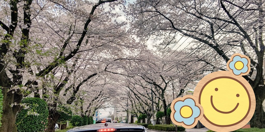 FullMooN official tweet media