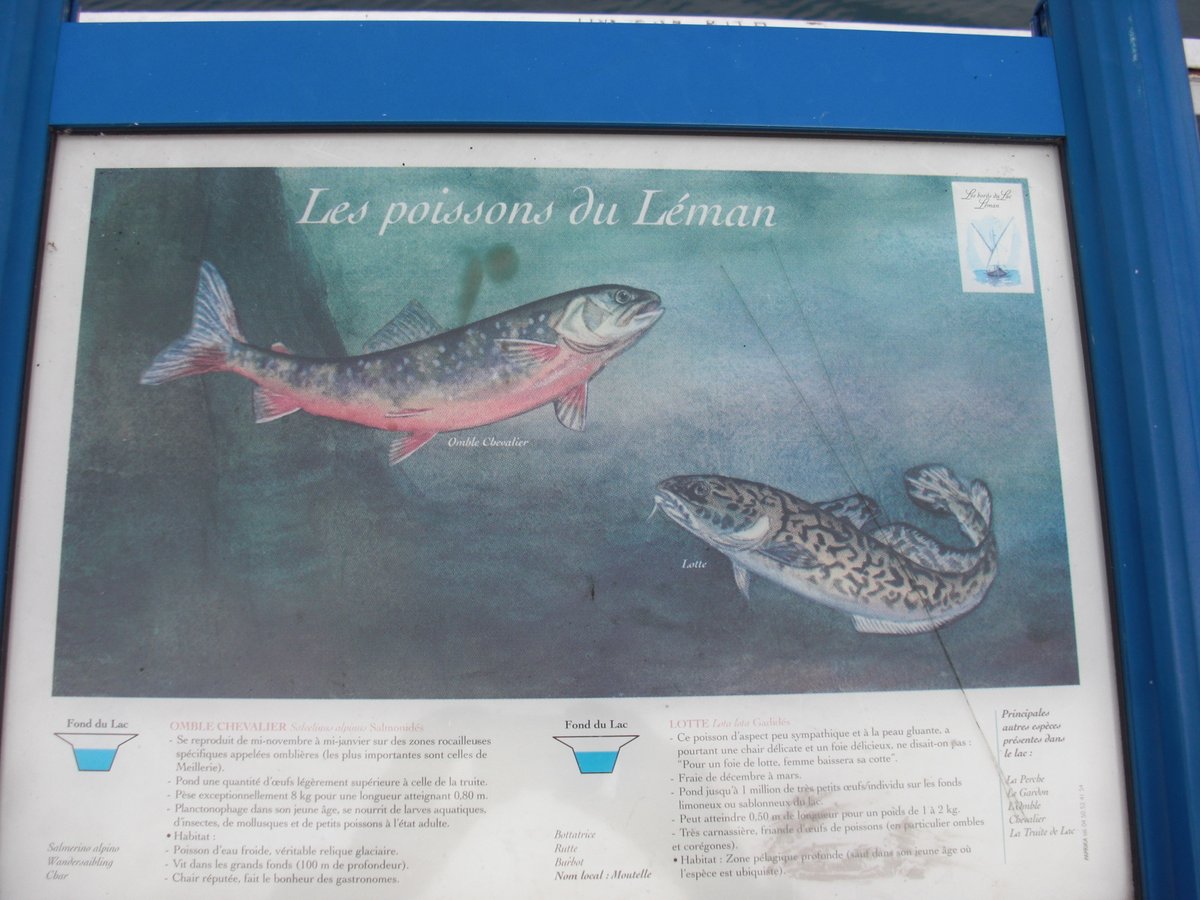 eaudevieYS's tweet image. ７日（火曜日）は定休日でお休みいたします。

よろしくお願いいたします。

#オードビー
#オードビー定休日
#Leman