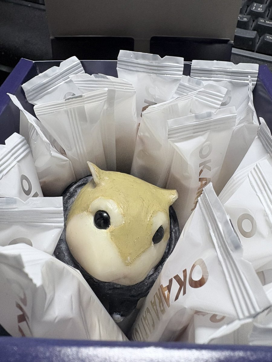 梶迫🐹迅八@例大祭う15a tweet media