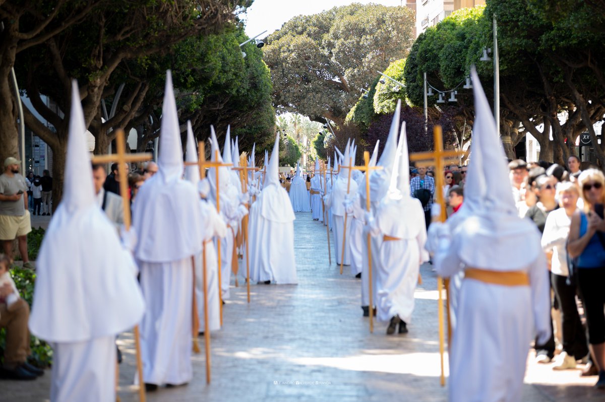 Agrupación de Cofradías de Almería tweet media