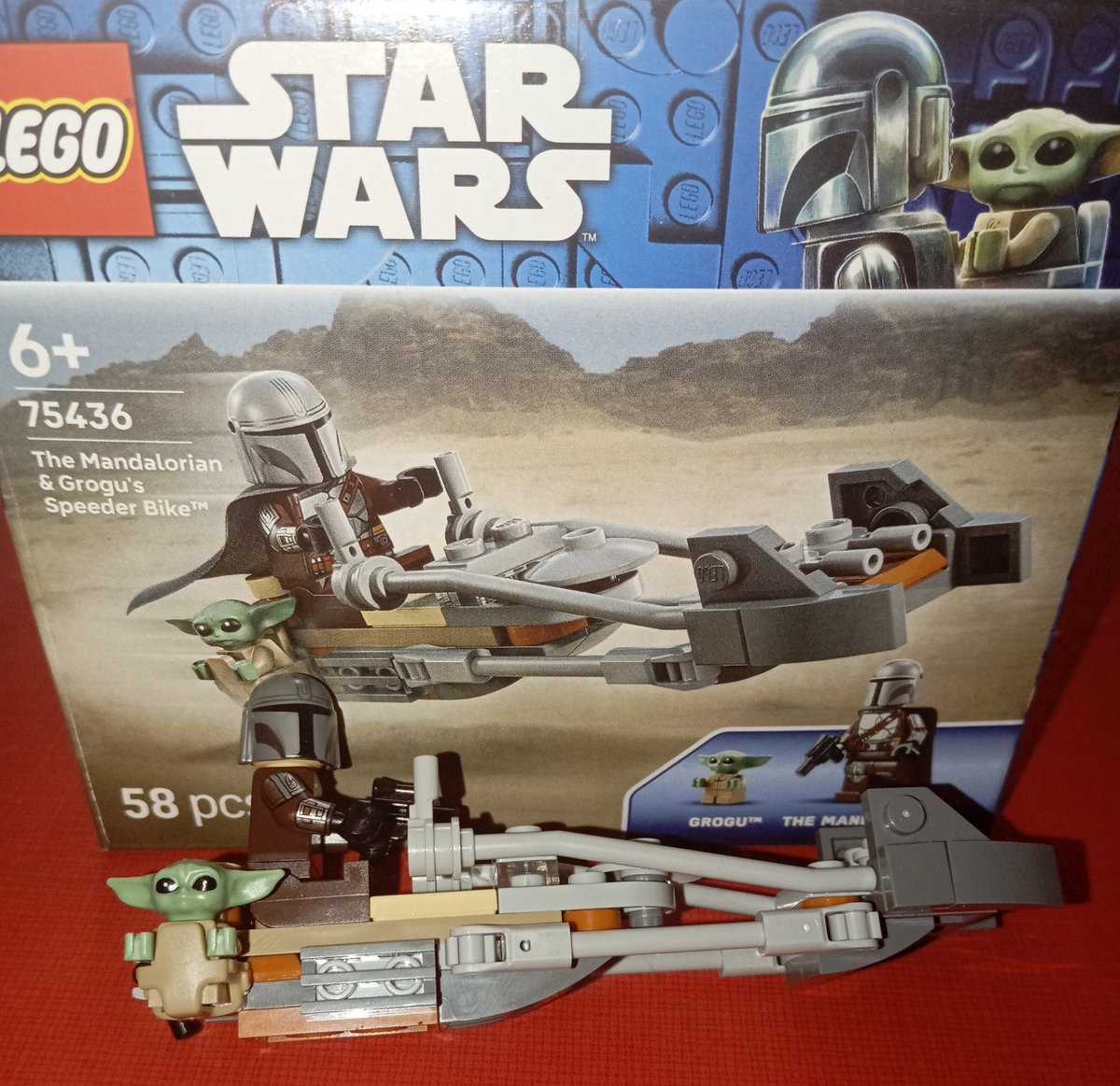 Chusky 🦉 tweet media