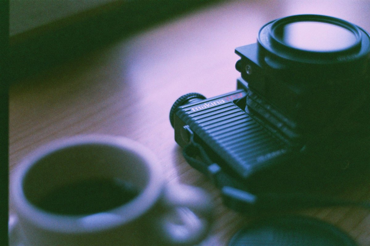 しぐれそう tweet media