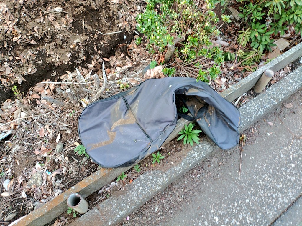 とんかつ tweet media