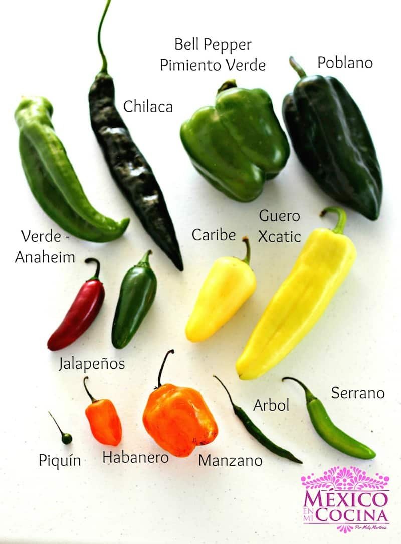 joelgs12's tweet photo. @jannnelss ¿al chile? ¿neta?  you are so ignorant... https://t.co/0GavCcsBXE