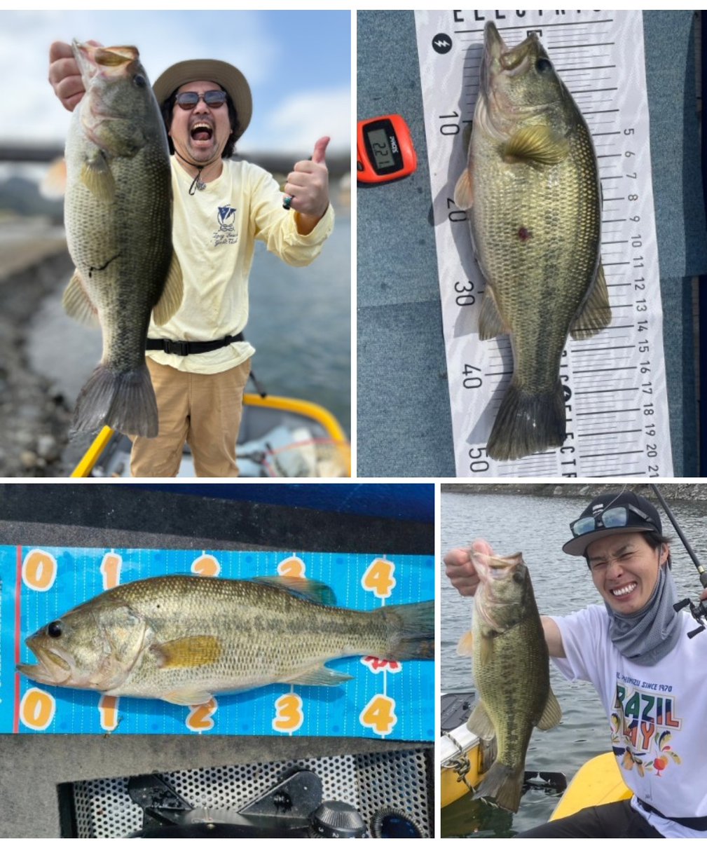 釣船小川亭@相模湖 tweet media