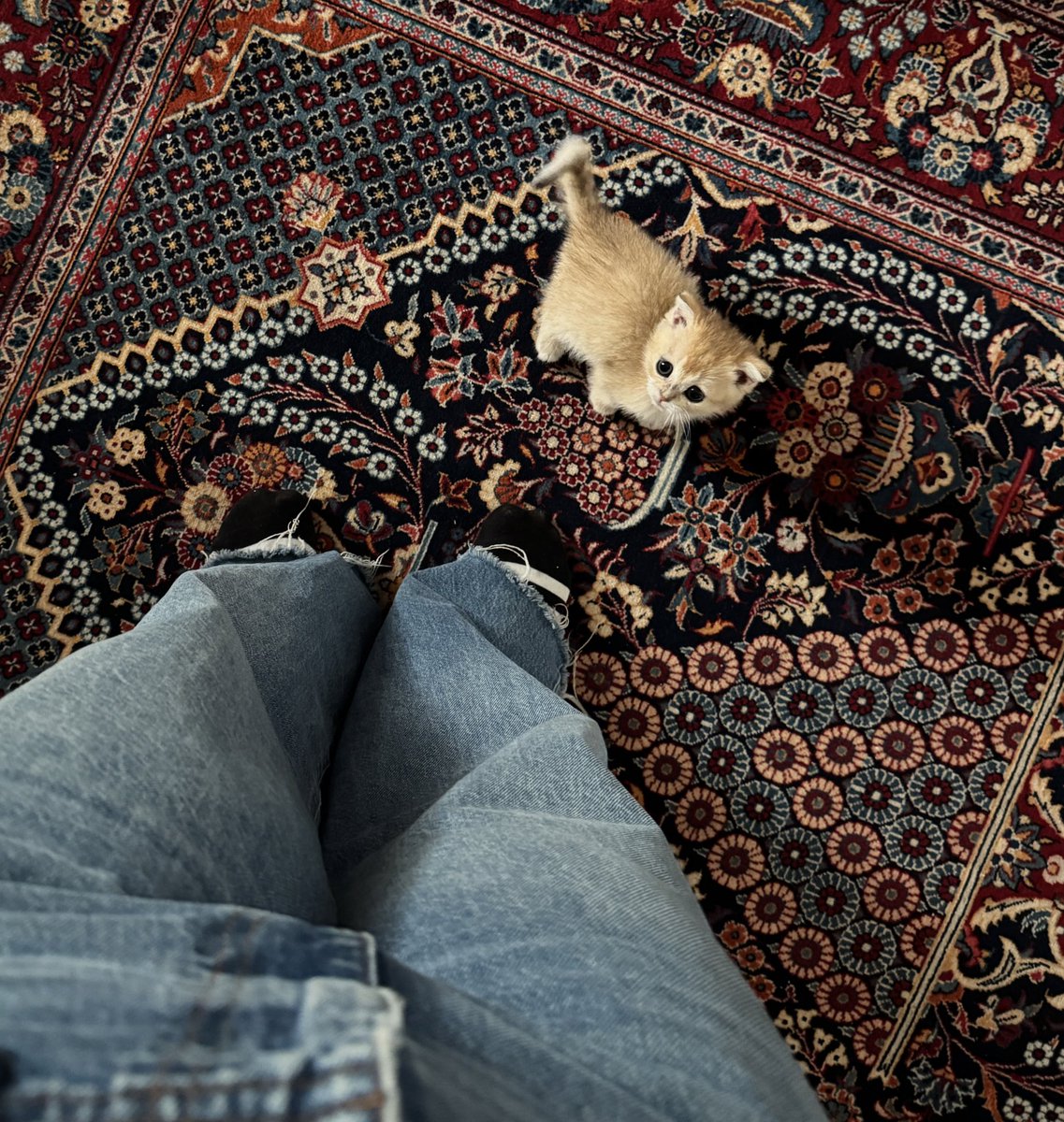 اسرا tweet media