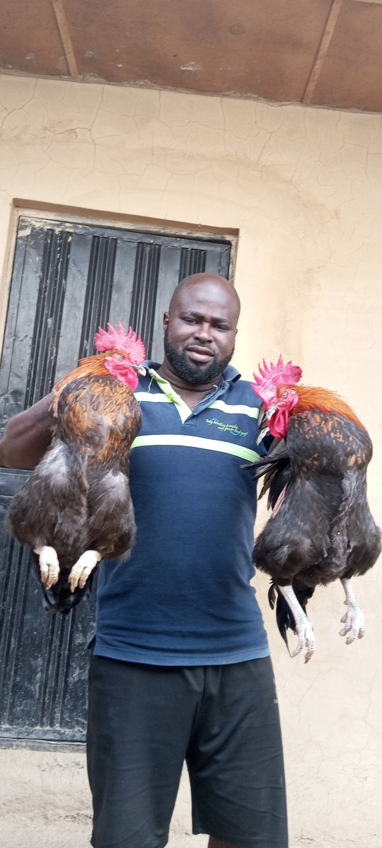 Tope A teacher & A Farmer I Will Never Give Up 💪) tweet media