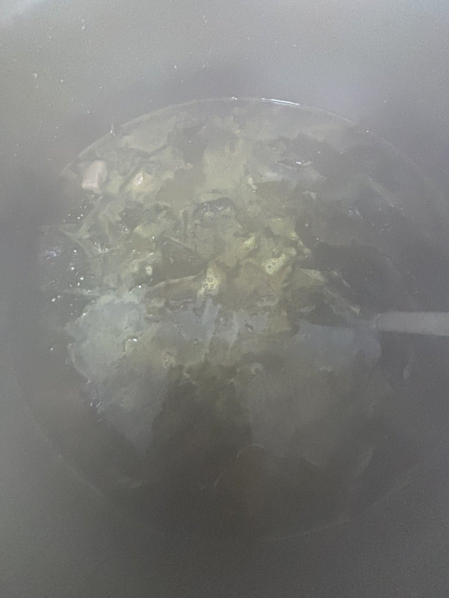 진도기 tweet media