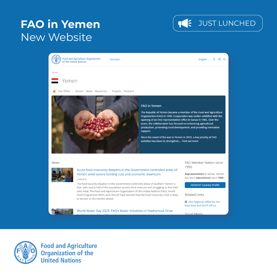 FAO in Yemen tweet media