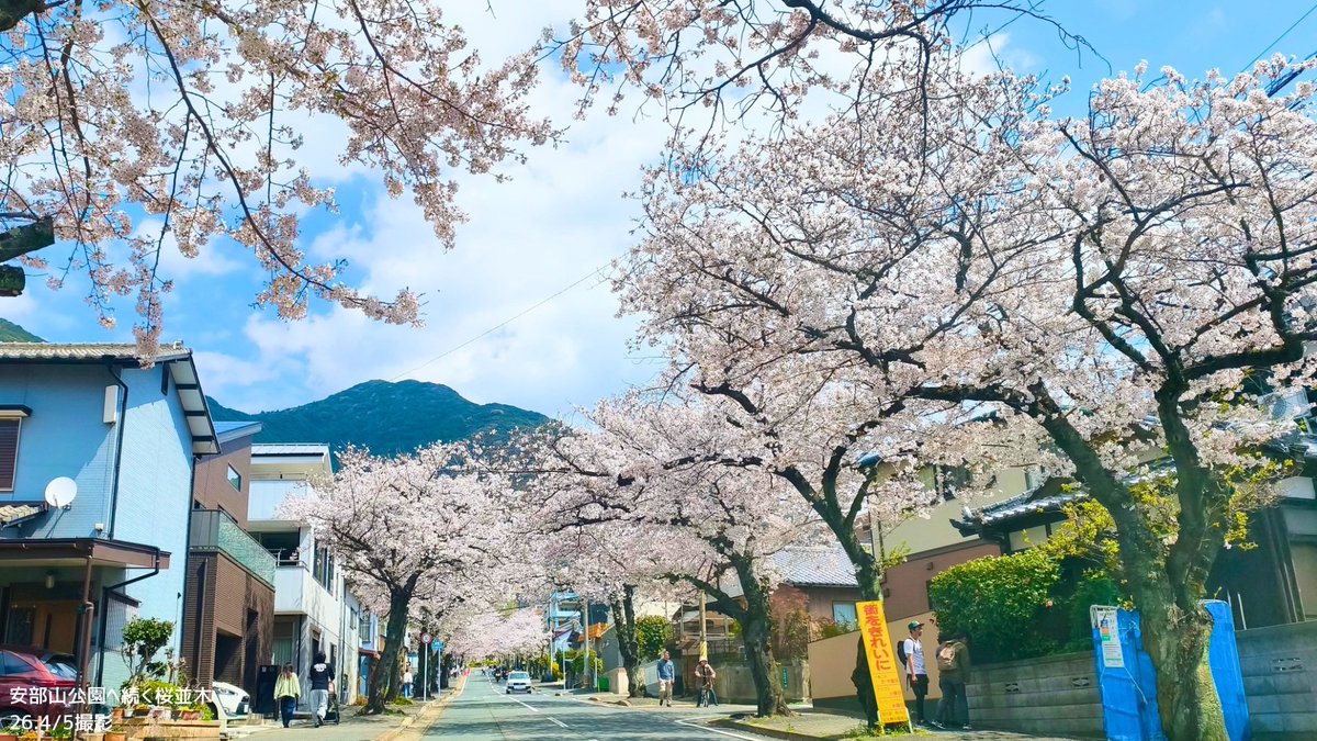 北九州市【公式】 tweet media