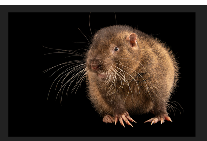 Eva Close tweet media