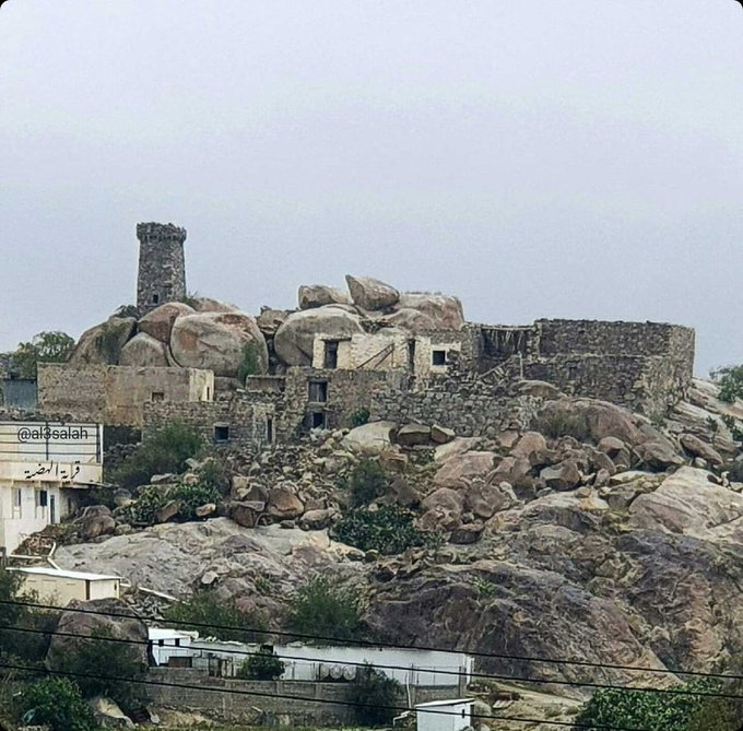 @بلجرشي مود tweet media