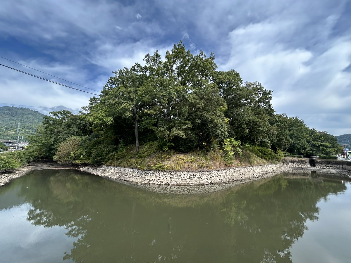 山城あお tweet media